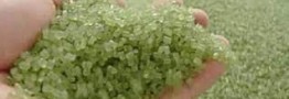 خیز صنعت بایوپلاستیک برای سهمگیری ۶۰۰میلیارد دلاری