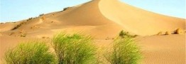 طرح سد سبز الگویی مناسب برای بیابانزدایی در جهان است