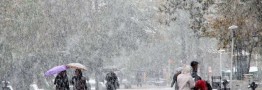 آشنا: رویکرد دولت در بحث تحریم ها واقع بینانه است