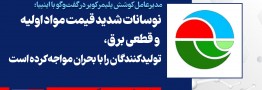  نوسانات شدید قیمت مواد اولیه و قطعی برق، تولیدکنندگان را با بحران مواجه کرده است