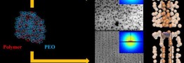 Oyster shells inspire new method to make superstrong, flexible polymers