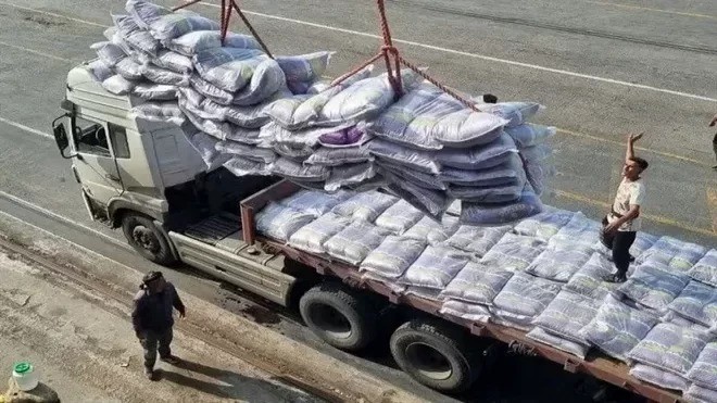 ثبت سفارش واردات برنج از امروز آغاز شد ایران جیب | IranJib
