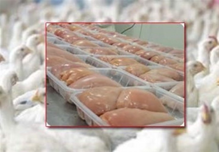 کمبود مرغ در استان تهران طی روزهای آینده برطرف میشود