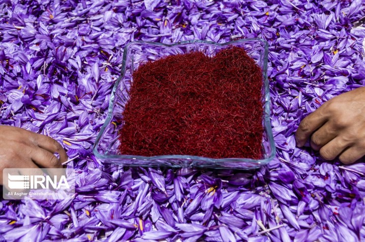 رشد ۵۲ درصدی صادرات زعفران در سال جاری/ ۱۰ مقصد صادراتی زعفران ایرانی