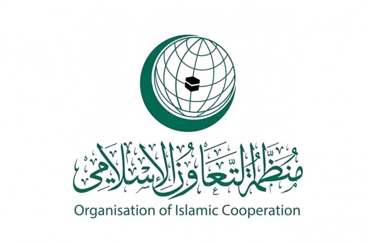 جنایت در جنین ادامه تروریسم سازمان یافته اسرائیل است/ شورای امنیت وارد عمل شود