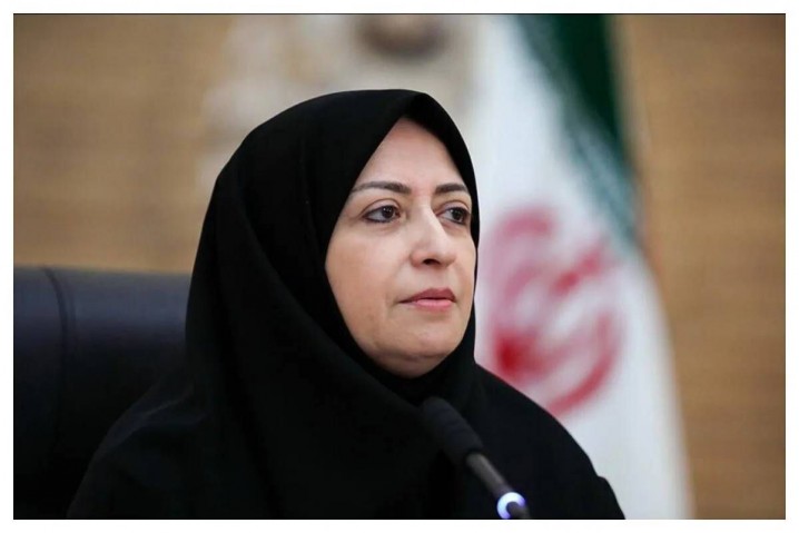 انصاری: زمان بذل و بخشش از منابع طبیعی کشور سپری شدهاست