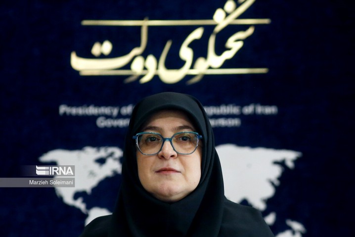 مهاجرانی: از هر ابتکار عملی برای رفع تحریم و تامین حقوق ملت استقبال میکنیم