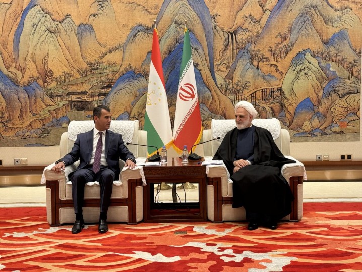 تعامل منطقهای و همسایگی برای مقابله با چالشها یک اصل اساسی است