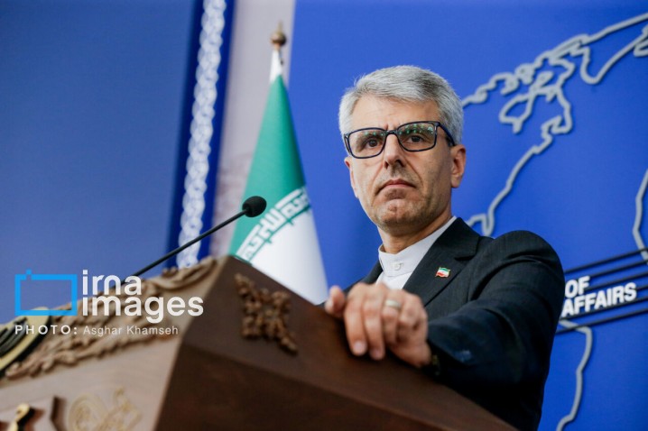 بقائی: حق ذاتی لبنان برای دفاع از خود بدون برخورداری از توان نظامی ممکن نیست