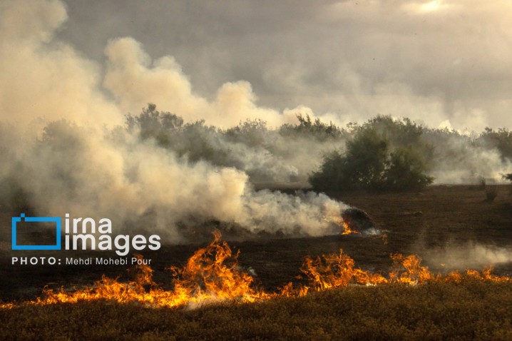 تلاش گسترده برای مهار آتش‌سوزی‌های جنگل الیت/ اعزام هواپیماهای ایلوشن و همکاری بین‌المللی