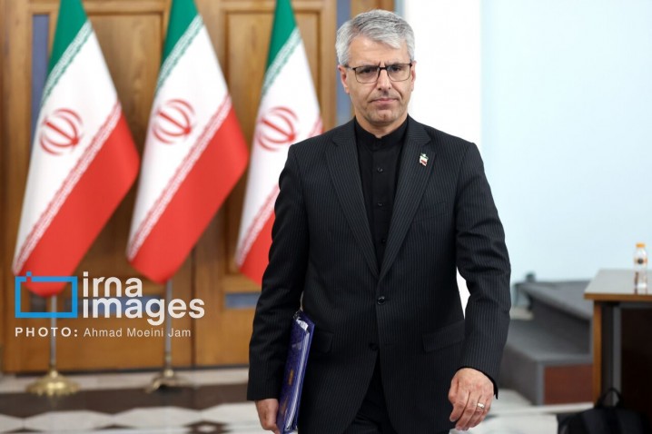 استفاده ایران از همه سازوکارهای بین‌المللی برای تعقیب عاملان و آمران جنایت میناب و لامرد