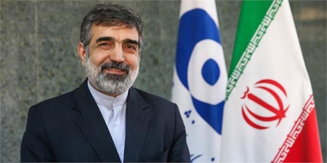 به زودی ۱۳۰ تن اورانیوم خریداری شده وارد ایران میشود