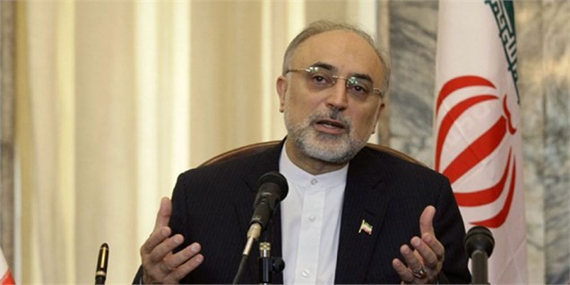 صالحی: ایران ۹۵۰ تن کیک زرد و الیاف کربن میخرد