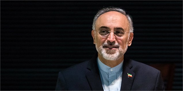 آمریکا بازی درآورده و می‌خواهد برجام را با هزینه ایران عقیم کرده و از بین ببرد