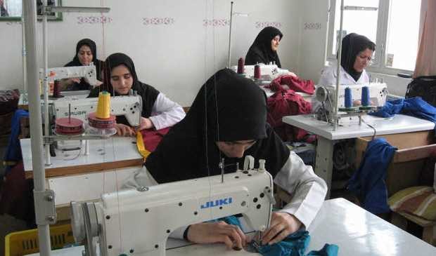 بانک اطلاعات تعاونیها تشکیل میشود