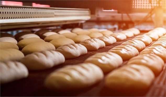 جدیدترین اخبار از کیکهای مشکوک