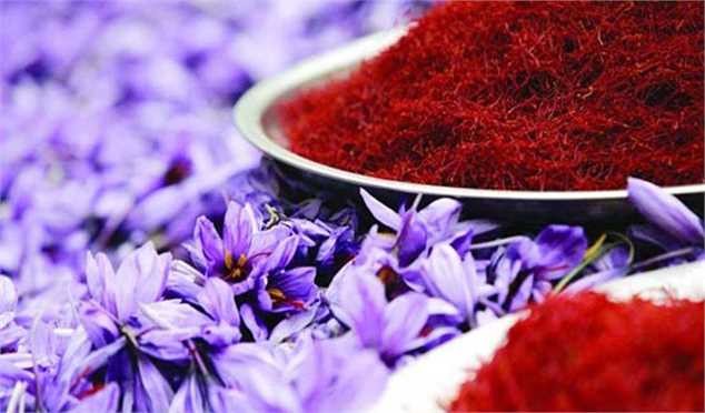 تشخیص دشوار زعفران اصل از تقلبی/مردم فریب قیمتهای پایین زعفران را نخورند