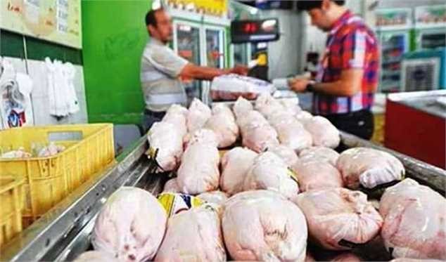 چرا مرغ نیست؟