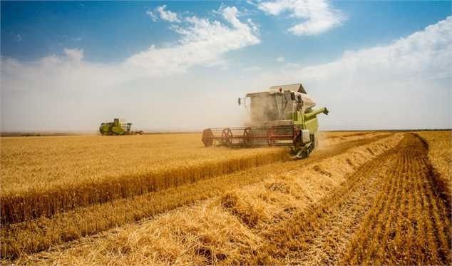 تیر خلاص دولت روحانی به خودکفایی گندم