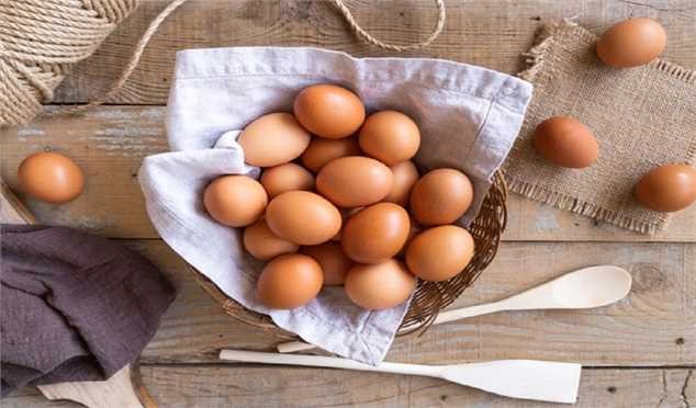 افزایش قیمت تخم مرغ نتیجه کشتار مرغهاست