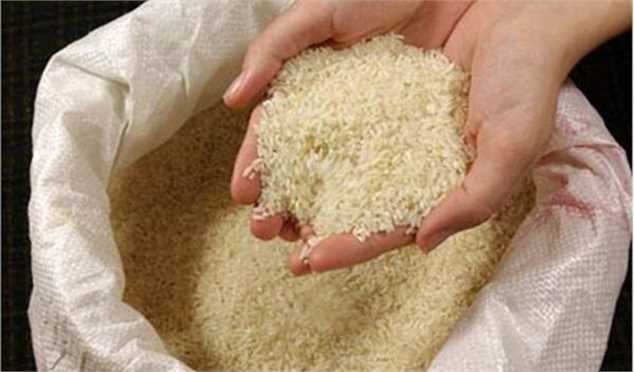 نماینده ساری: برنج ۹۰ هزار تومانی، ۳۵ هزار تومان خریداری شده است