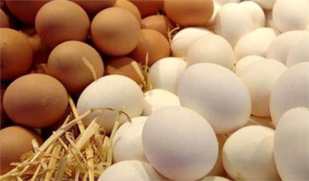 قیمت تخم مرغ تا قبل از شروع سال جدید به نرخ مصوب برمیگردد