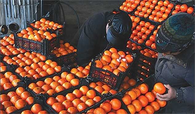 با هرگونه احتکار و اختلال در بازار شب عید برخورد میشود