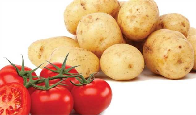 گوجه فرنگی و سیب زمینی، همچنان در صدر قیمتها