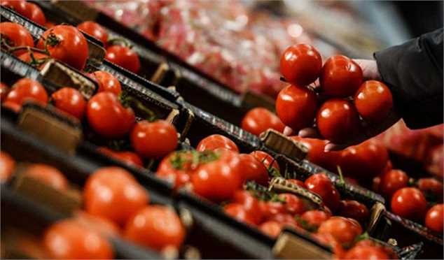 قیمت گوجه فرنگی به کیلویی ۲۵ هزار تومان رسید/ کامیونداران تمایلی به بارگیری ندارند