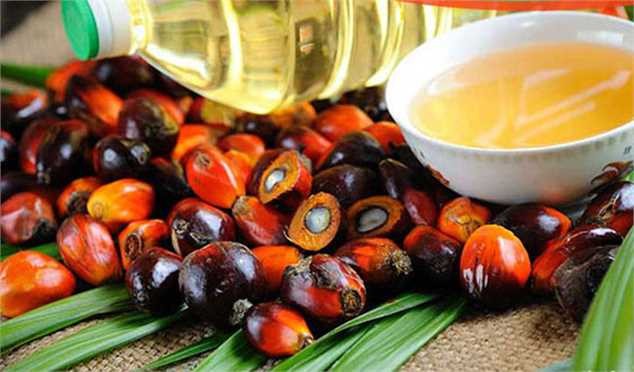 غول تولیدکننده روغن پالم در جهان، صادرات روغن را از سر میگیرد