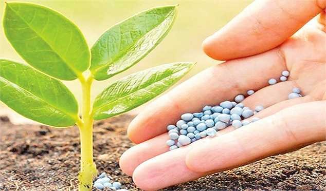 توزیع ۷۵۰ هزار تن انواع کودهای یارانهای در دو ماهه ابتدای سال ۱۴۰۱
