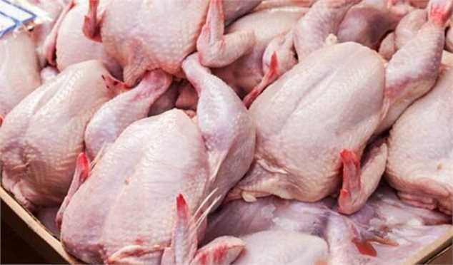قیمت جدید مرغ هفته آینده اعلام می‌شود/ کاهش جوجه‌ریزی در کشور