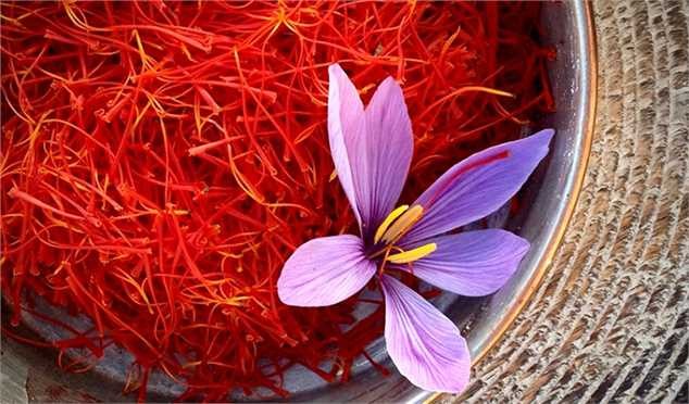 بزرگترین قرارداد تجاری زعفران جهان میان ایران و قطر به امضا رسید