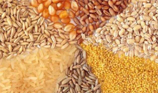 قیمتگذاری دستوری فروش نهادههای دامی منجر به کاهش واردات میشود