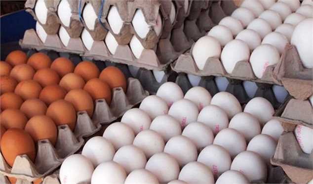 عرضه هر عدد تخممرغ بالاتر از ۳ هزار تومان گرانفروشی است