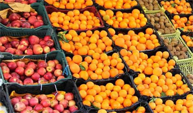 نقش بخش خصوصی در تنظیم بازار میوه شب عید پررنگ میشود