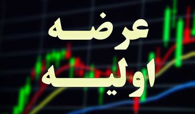 آخرین عرضه اولیه سال ۱۴۰۱، کشف قیمت شد