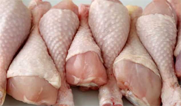 تعرفه صفر واردات مرغ چه بر سر تولید میآورد؟