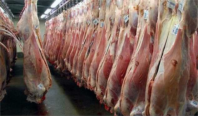 گوشت‌های آفریقایی رسیدند