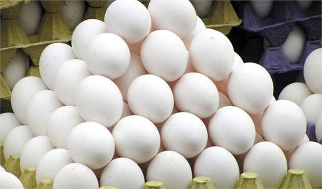 فروش هر کیلو گرم تخم مرغ بالاتر از ۵۷ هزار تومان گرانفروشی است