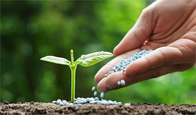قیمت اوره پتروشیمیهای ایرانی/ آیا بازار اوره از روندهای سنتی پیروی میکند؟