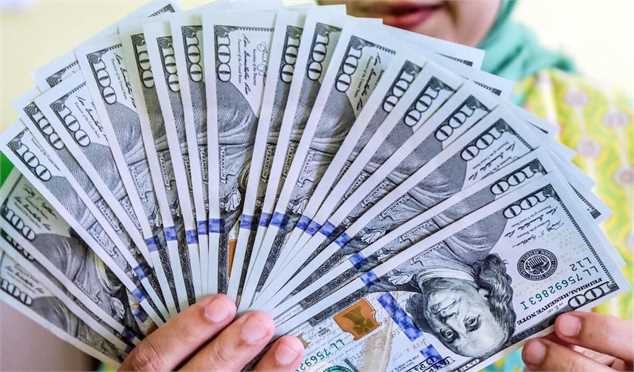 ثبتنام دلار دولتی برای همه دارندگان کارت ملی / فقط ۳۲ روز فرصت دارید!