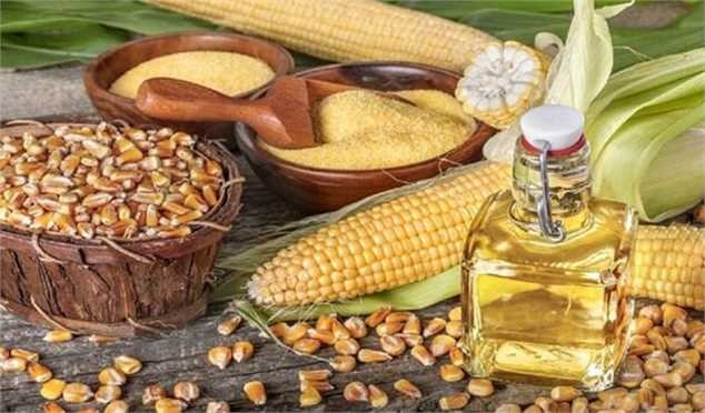 دانههای روغنی در حادثه اسکله شهید رجایی آسیبی ندیدند