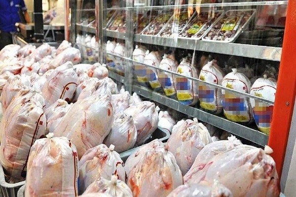 فنر قیمت مرغ با ارز دولتی پرید / ارز‌ها کجا رفتند؟