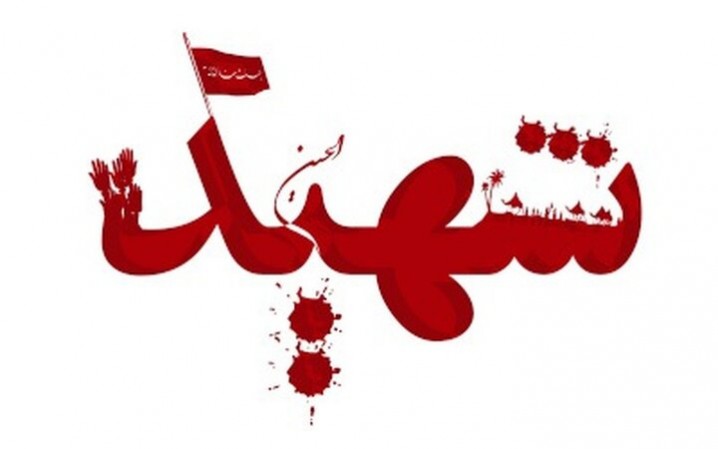 اعضای خانواده یک محیط بان هرمزگان در حمله آمریکا به شهادت رسیدند