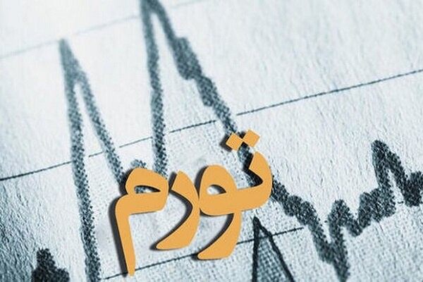 بانک مرکزی در برابر تورم ابزارهای کافی نداشت