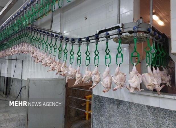 هر کیلو گرم گوشت مرغ ۱۶۸ هزار تومان شد+جدول قیمت کالاهای اساسی