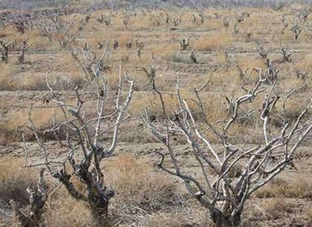 امسال نسبت به میانگین بلندمدت، ۴۰ درصد کاهش بارش داشتهایم