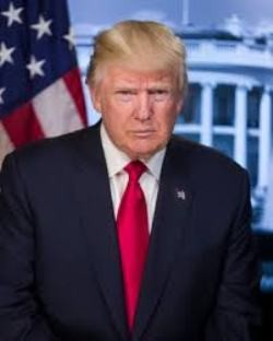 استراتژیست ارشد جمهوریخواهان ترامپ را به دروغگویی متهم کرد