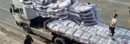 ثبت سفارش واردات برنج از امروز آغاز شد ایران جیب | IranJib